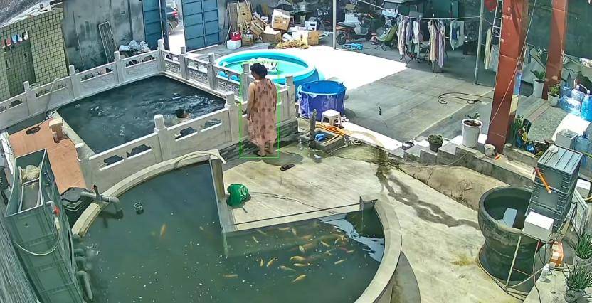 皇冠信用網怎么开户_新乡一男子喂鱼忘送娃上课被妻子踹进鱼池：妻子怀孕脾气有时候控制不住皇冠信用網怎么开户，互相道了歉