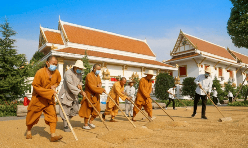 皇冠体育App下载_两座千年古刹今与昔：实探经历掌门变换的少林寺和白马寺