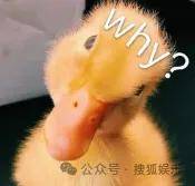 皇冠信用網在线开户_从爆红到突然消失好几年皇冠信用網在线开户,再出现已经胖到大家不敢认了?