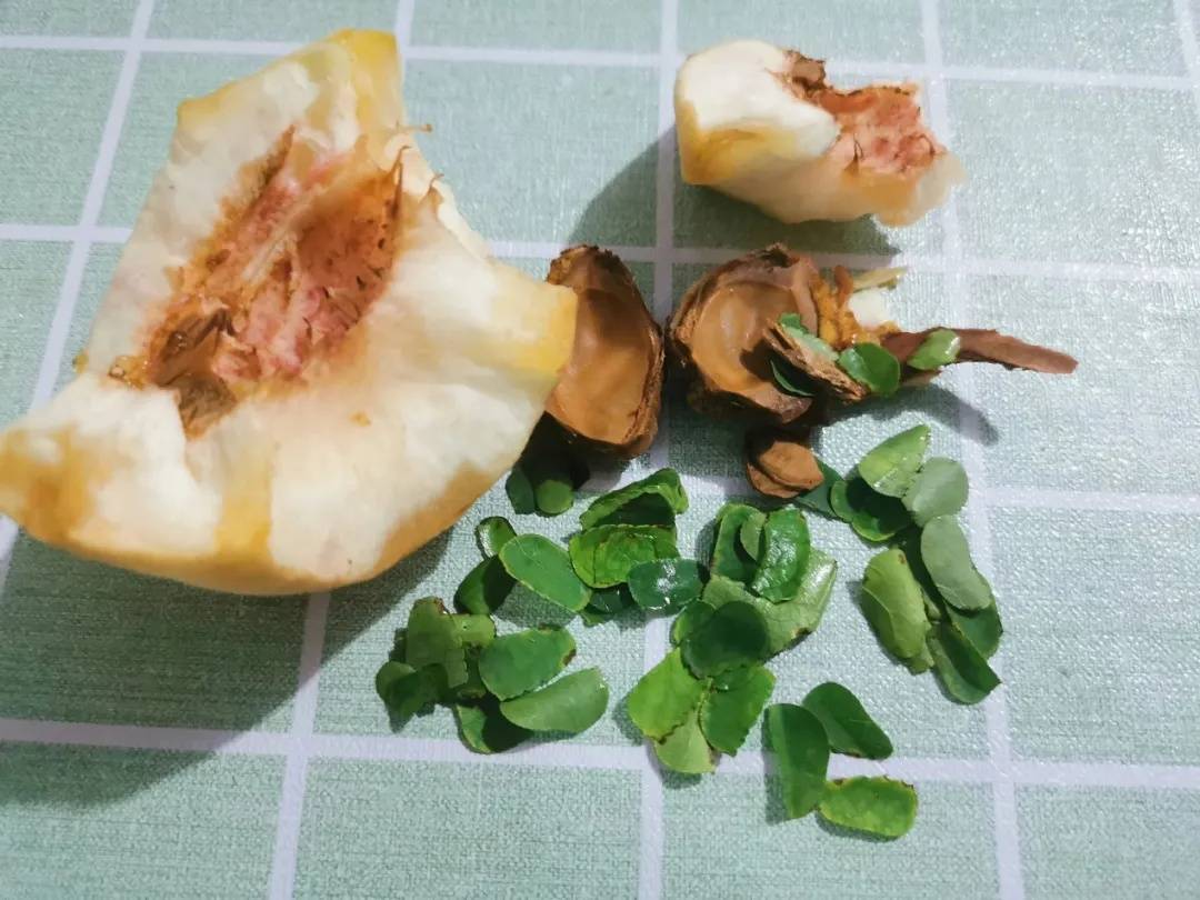 皇冠abcd类型網_咬开桃子发现一堆树叶？莫慌皇冠abcd类型網！你是遇到了它→