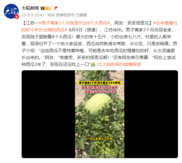 奥地利甲组联赛_江苏一男子离家3个月院里长出8个大西瓜奥地利甲组联赛,网友:妥妥报恩瓜