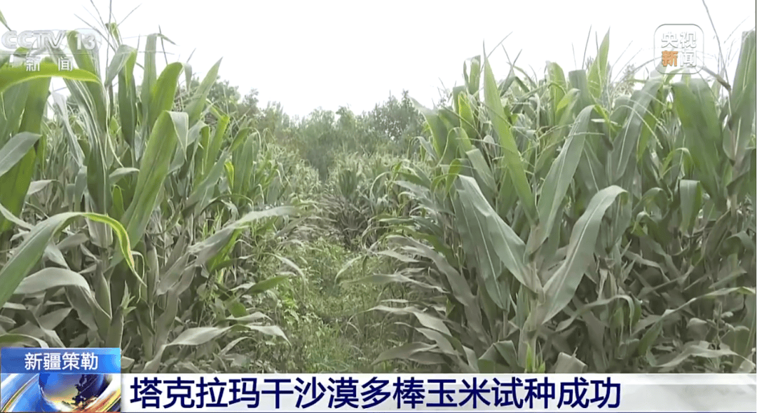 奥地利乙组联赛_纪念中国人民抗日战争暨世界反法西斯战争胜利80周年大会第一次综合演练圆满结束【三分钟新闻早知道】