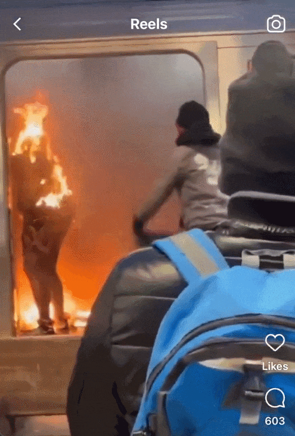 皇冠信用盘开户_牛弹琴:特朗普实在看不下去皇冠信用盘开户了