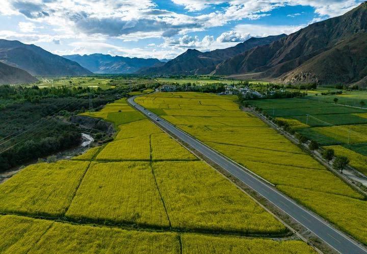 皇冠皇冠平台_县·观察｜乃东：高原沃土的产业振兴之路