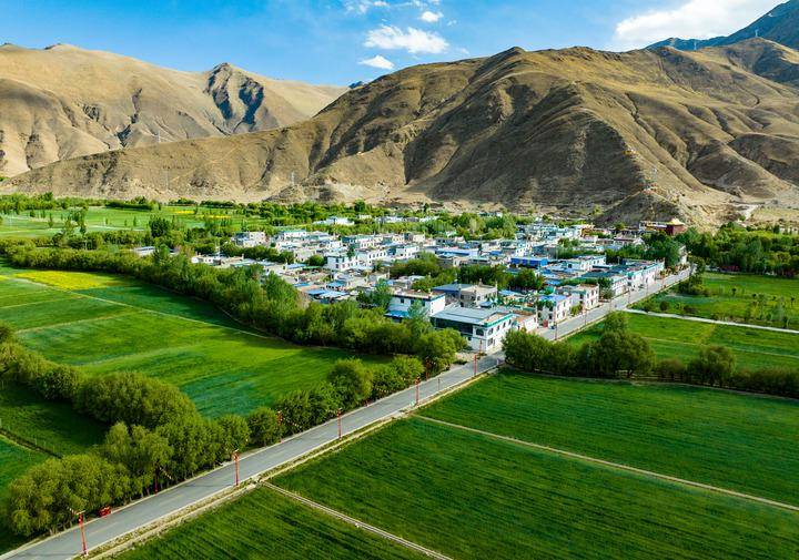 皇冠皇冠平台_县·观察｜乃东：高原沃土的产业振兴之路