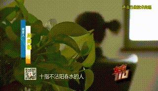 皇冠信用网账号注册
_“从小不缺钱皇冠信用网账号注册
,父母百依百顺”,53岁啃老女花光父亲遗产后,又盯上……