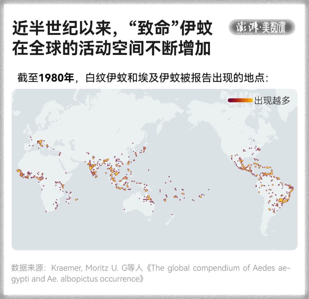 皇冠信用盘占成代理_全球“最毒”的蚊子皇冠信用盘占成代理，为何批量北上