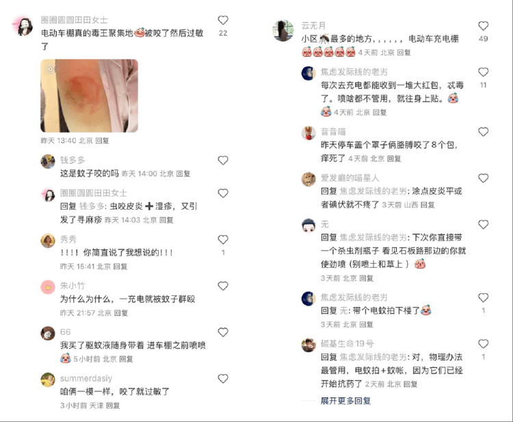 皇冠信用盘占成代理_全球“最毒”的蚊子皇冠信用盘占成代理，为何批量北上