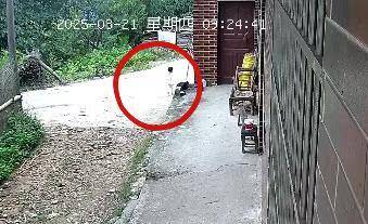 皇冠信用網登123出租_湖南新韶突然失踪的2岁女孩平安找到皇冠信用網登123出租，当地公安：在距离家1公里外的山林石缝中发现