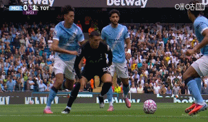 皇冠信用在线开户_半场-曼城暂0-2热刺 特拉福德失误送礼理查利森助攻约翰逊破门