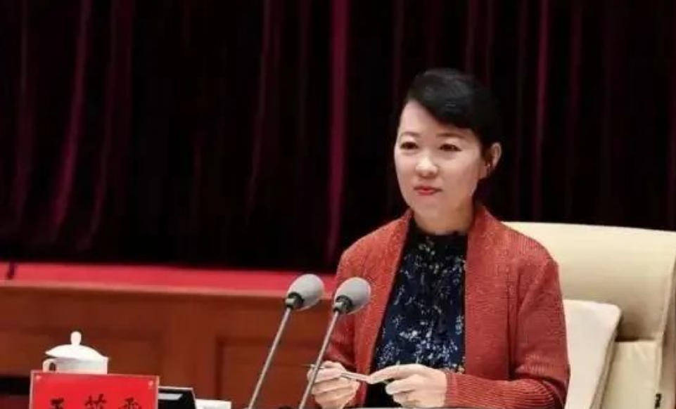 艾里斯vs阿波罗利马素尔
_“换装主席”王莉霞的堕落:从光鲜人设到腐败深渊