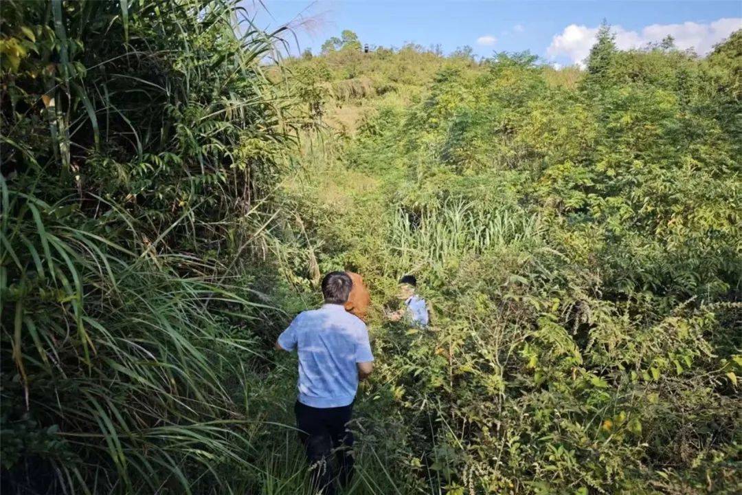 皇冠信用平台出租出售
_无人机精准锁定皇冠信用平台出租出售
,“牛”到家啦!