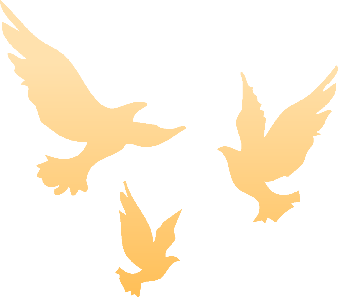 萨尔瓦多甲组联赛_就在明天萨尔瓦多甲组联赛！九三阅兵！这份直播观看攻略与亮点安排请收好