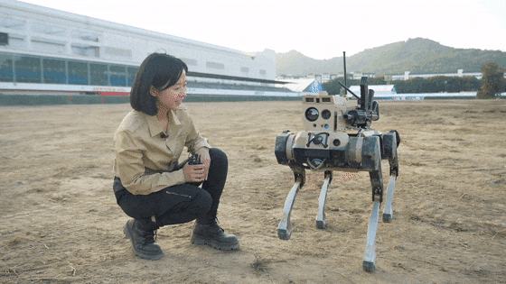 皇冠信用網会员_九三阅兵“机器狼群”皇冠信用網会员，首次亮相一个字：帅！与“机器狗”有这些区别→