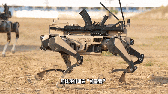 皇冠信用網会员_九三阅兵“机器狼群”皇冠信用網会员，首次亮相一个字：帅！与“机器狗”有这些区别→