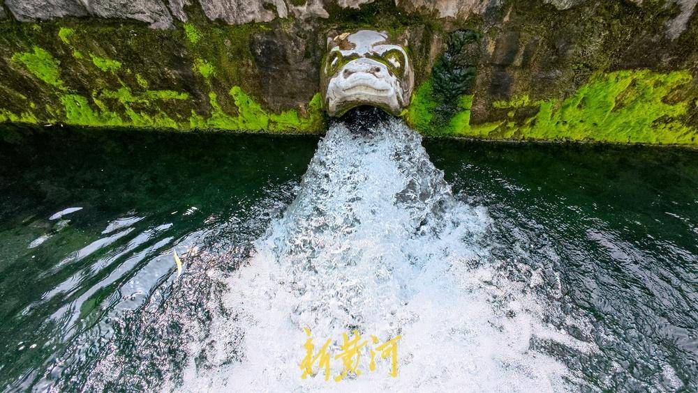 波多黎各职业女子篮球联赛_喷涌势头旺盛波多黎各职业女子篮球联赛，济南黑虎泉将迎恢复喷涌22周年