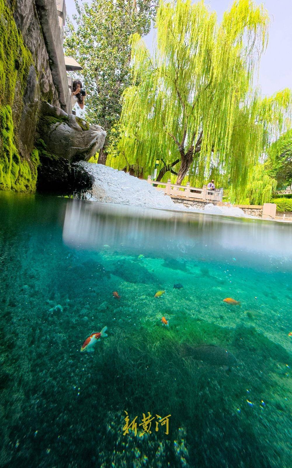 波多黎各职业女子篮球联赛_喷涌势头旺盛波多黎各职业女子篮球联赛，济南黑虎泉将迎恢复喷涌22周年