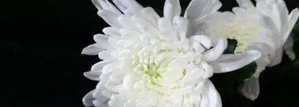 波斯尼亚和黑寒哥维那U21 vs 以色列U21_乌军士兵乔装成俄军波斯尼亚和黑寒哥维那U21 vs 以色列U21，与俄士兵寒暄，随后趁其不备将两名俄军枪杀，无人机拍下全过程