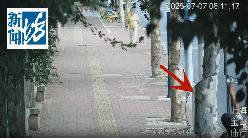 体育皇冠信用网_叶某(60岁)已被刑拘体育皇冠信用网！监控曝光…网友怒斥如此行径太恶劣