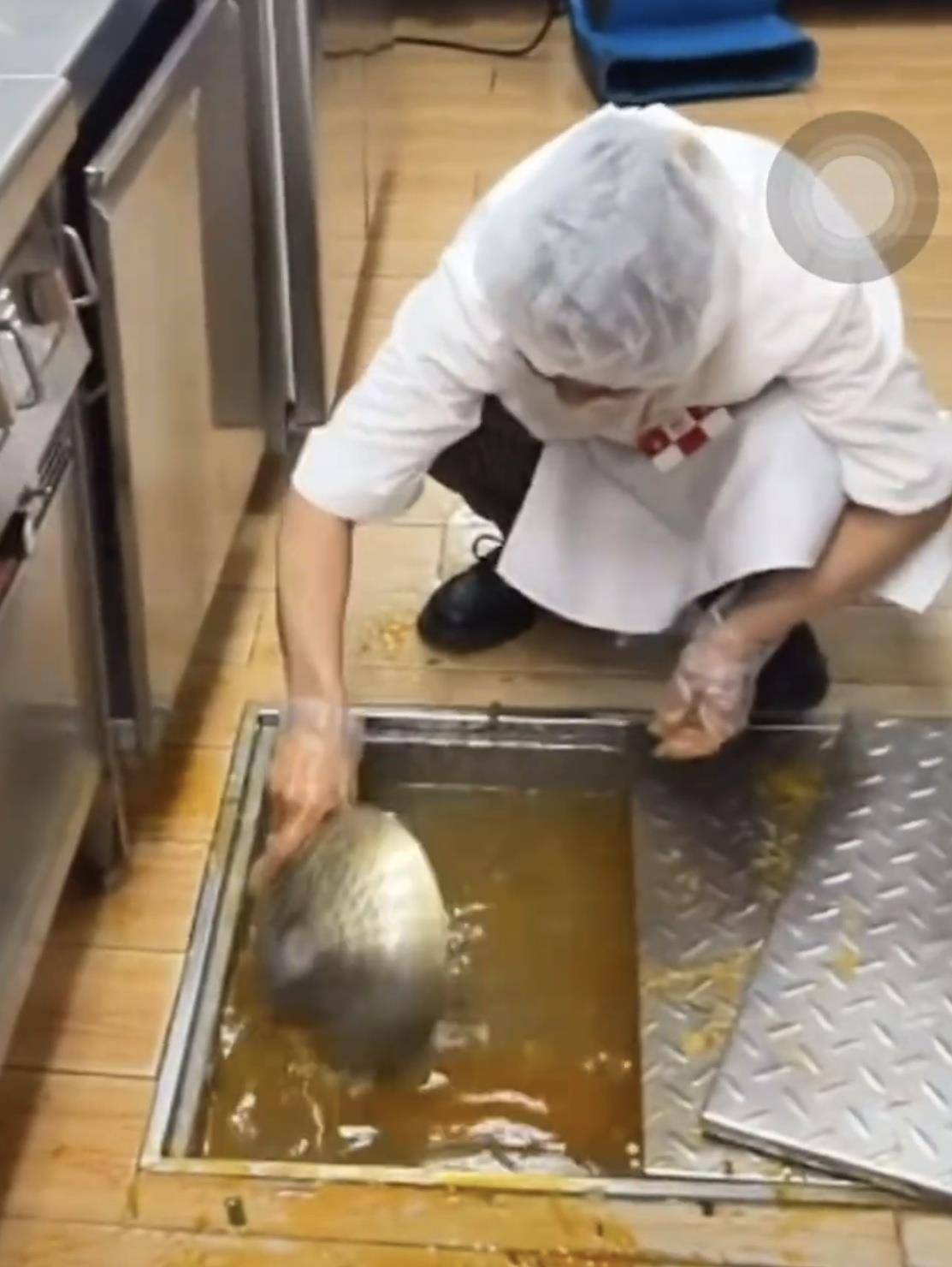 白俄罗斯超级联赛_西贝员工用漏勺疏通厨房下水道引质疑白俄罗斯超级联赛，锅里有个相似漏勺，客服：工具选用和操作不规范