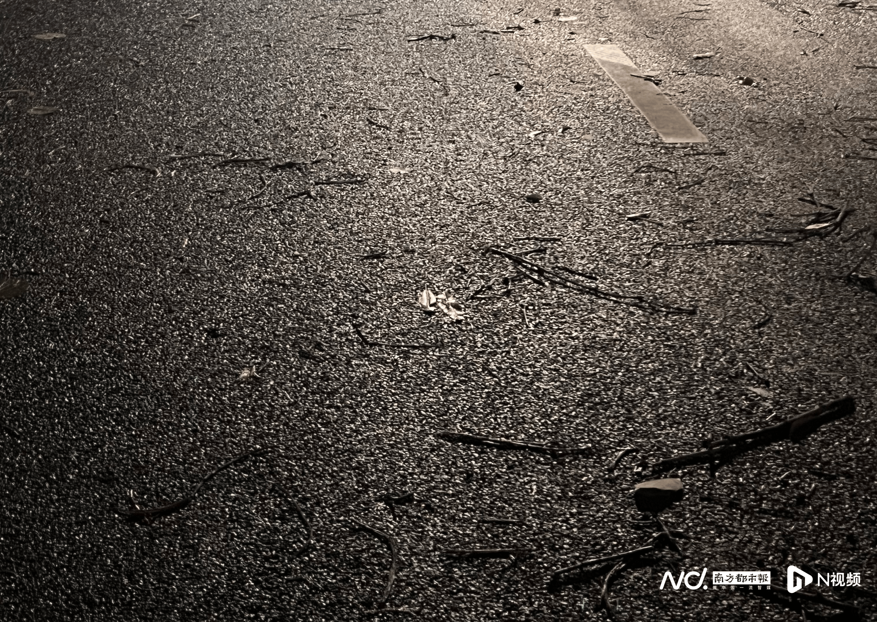 皇冠信用網出租足球_佛山官宣解除“五停”后两小时内皇冠信用網出租足球，我们在街头看见