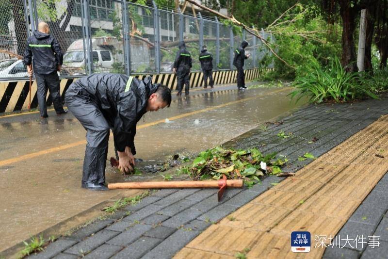 皇冠信用开户_从“山竹”开始皇冠信用开户，深圳这家企业每遇台风都组织员工排险清障
