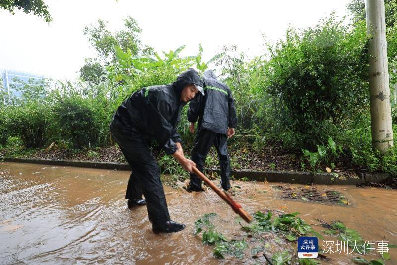 皇冠信用开户_从“山竹”开始皇冠信用开户，深圳这家企业每遇台风都组织员工排险清障