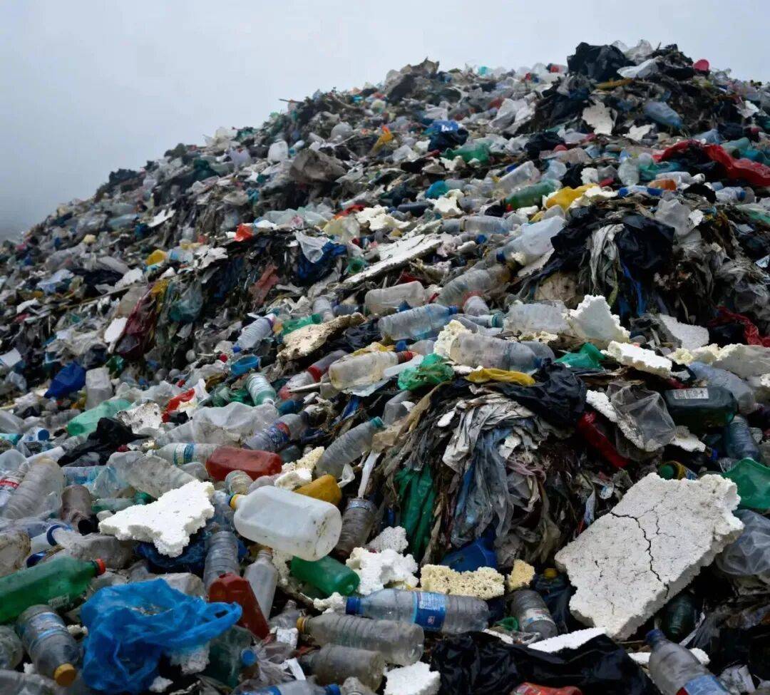 皇冠信用網注册开通_中国外卖袋皇冠信用網注册开通,悄悄占领非洲