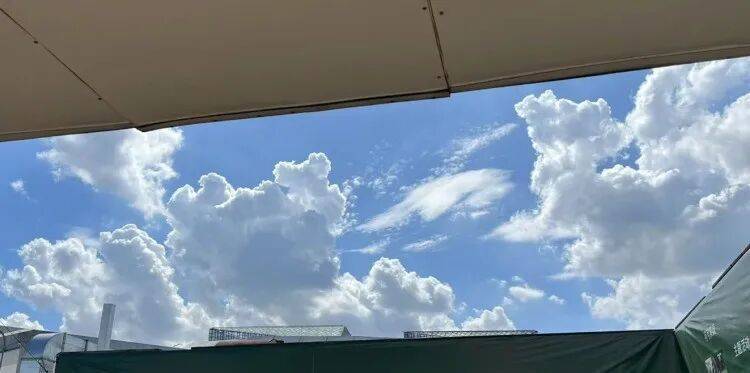 皇冠信用盘怎么申请_上海又热成全国第一!网友连呼“回到黄梅天”皇冠信用盘怎么申请,还要热多久?