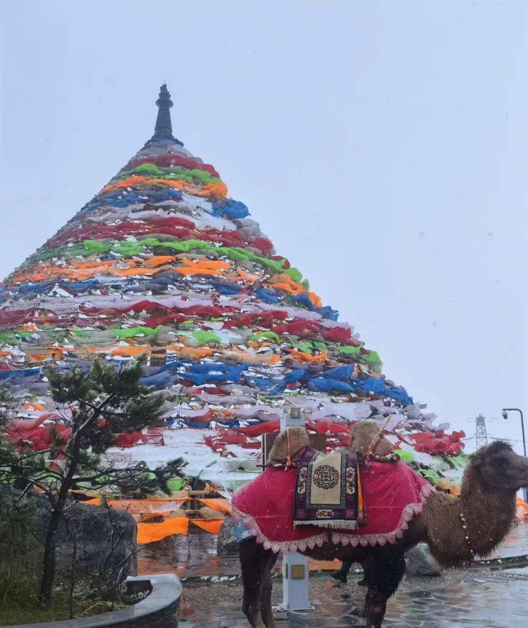 皇冠信用網怎么弄_多地突降大雪皇冠信用網怎么弄！