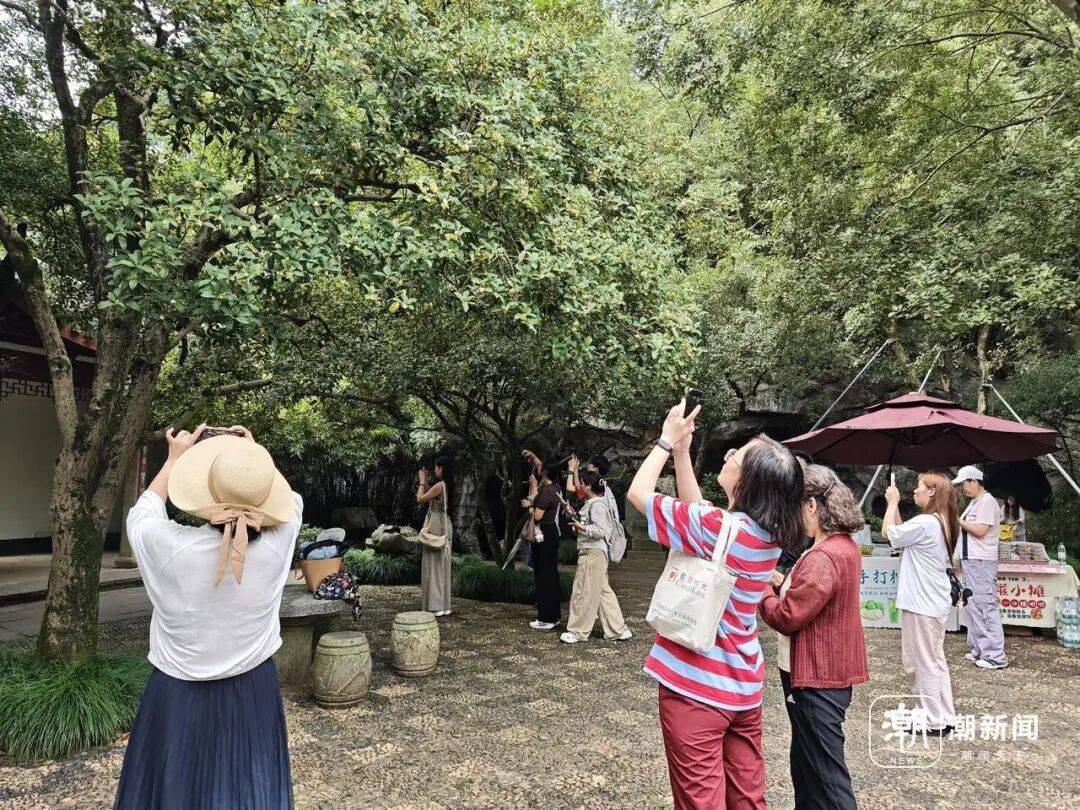 皇冠信用网在线申请_进度达70%！杭州即将进入全盛期皇冠信用网在线申请，别错过！