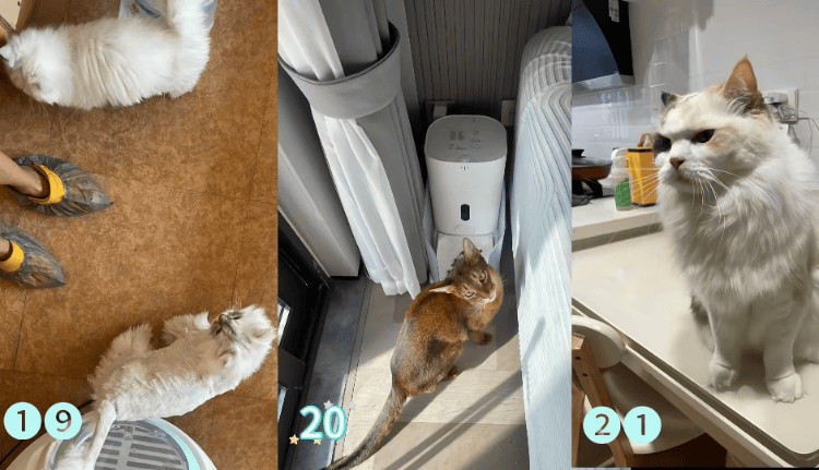 皇冠信用網登2代理申请_需求激增！男子长假连接270单皇冠信用網登2代理申请，其中一笔收费8100元，“我有多套房，有双学位，客户很信任”；律师提醒→