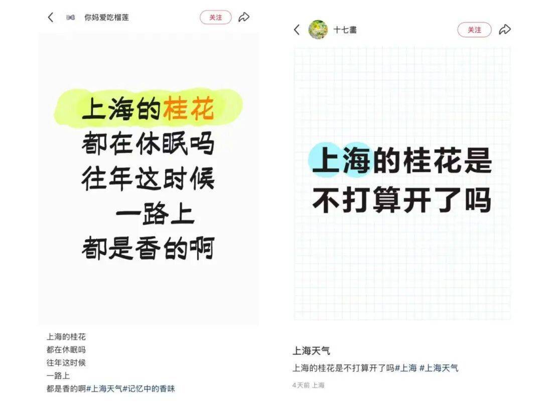 皇冠信用网登123出租_上海：节后气温将冲高至33℃！今夏已长达150天皇冠信用网登123出租，玉兰蔷薇樱花荷花全开了……