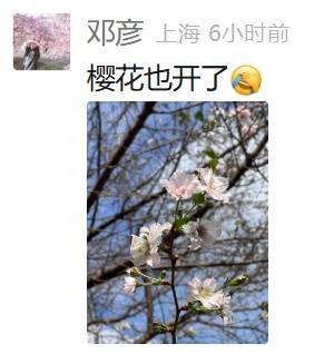 皇冠信用网登123出租_上海：节后气温将冲高至33℃！今夏已长达150天皇冠信用网登123出租，玉兰蔷薇樱花荷花全开了……