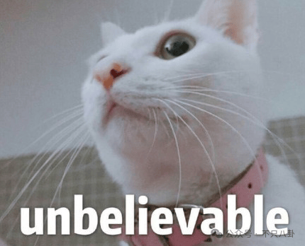 hga035会员注册_他俩没分手但被拍到吵架了hga035会员注册,吵得很凶......