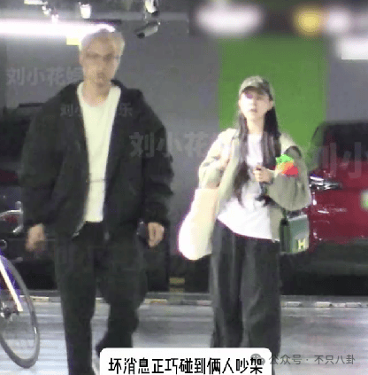 hga035会员注册_他俩没分手但被拍到吵架了hga035会员注册,吵得很凶......