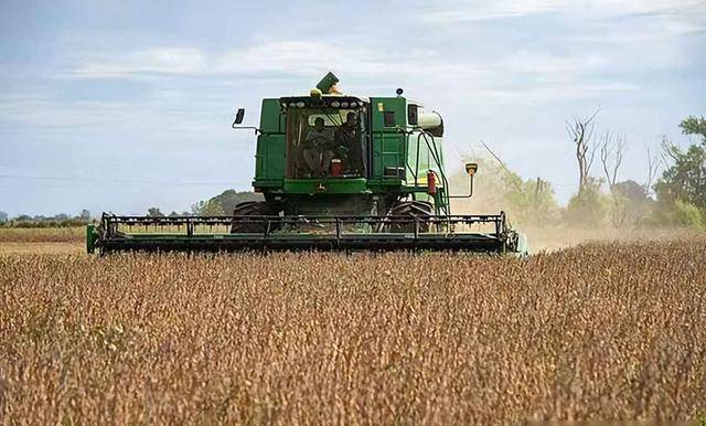 皇冠信用网正网_阿根廷继续卖中国大豆皇冠信用网正网，美国放狠话，我使馆回应亮了：美方管不着