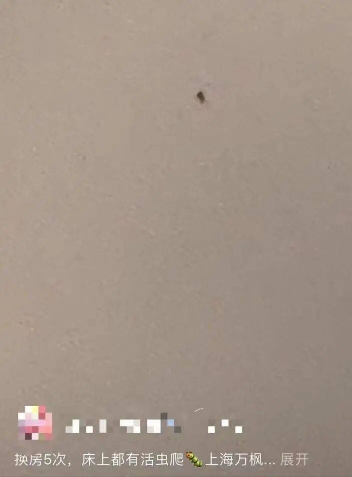 皇冠信用盘会员开户
_被投诉“连换5次房床上都有虫爬”皇冠信用盘会员开户
,涉事高档酒店回应