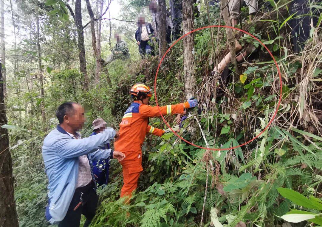 皇冠登3新2管理_93岁老人进山失联皇冠登3新2管理，两天后发现他倒挂在树杈上苦撑……