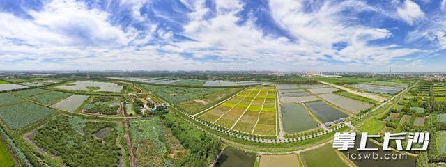 皇冠信用網登3代理_荒滩变绿洲 湖畔起乐园｜一江碧水向东流
