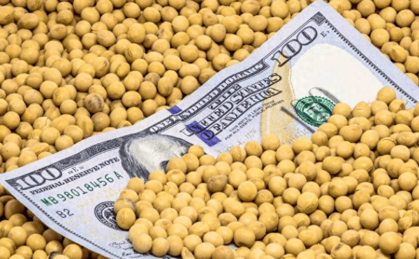 皇冠信用網代理_特朗普紧急发文皇冠信用網代理，对中国已做好最坏打算，或禁买中国食用油？提醒忠实盟友牢牢记住一点