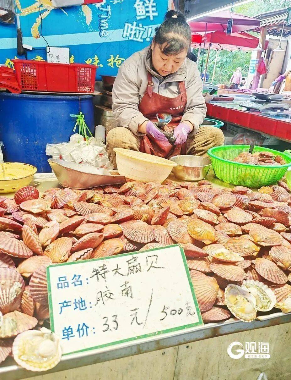 皇冠信用盘登1_10元四斤！青岛人爱吃的它皇冠信用盘登1，大量上市了，网友：今晚就安排上桌……