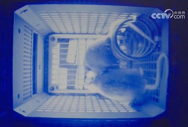 hga035怎么注册账号_神舟二十一号升空！现在的问题是hga035怎么注册账号，导师上天了，组会还开吗？