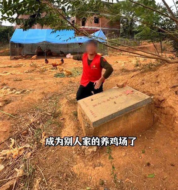 hga026注册_烈士墓地成为养鸡场hga026注册？当地政府：已经整改完毕