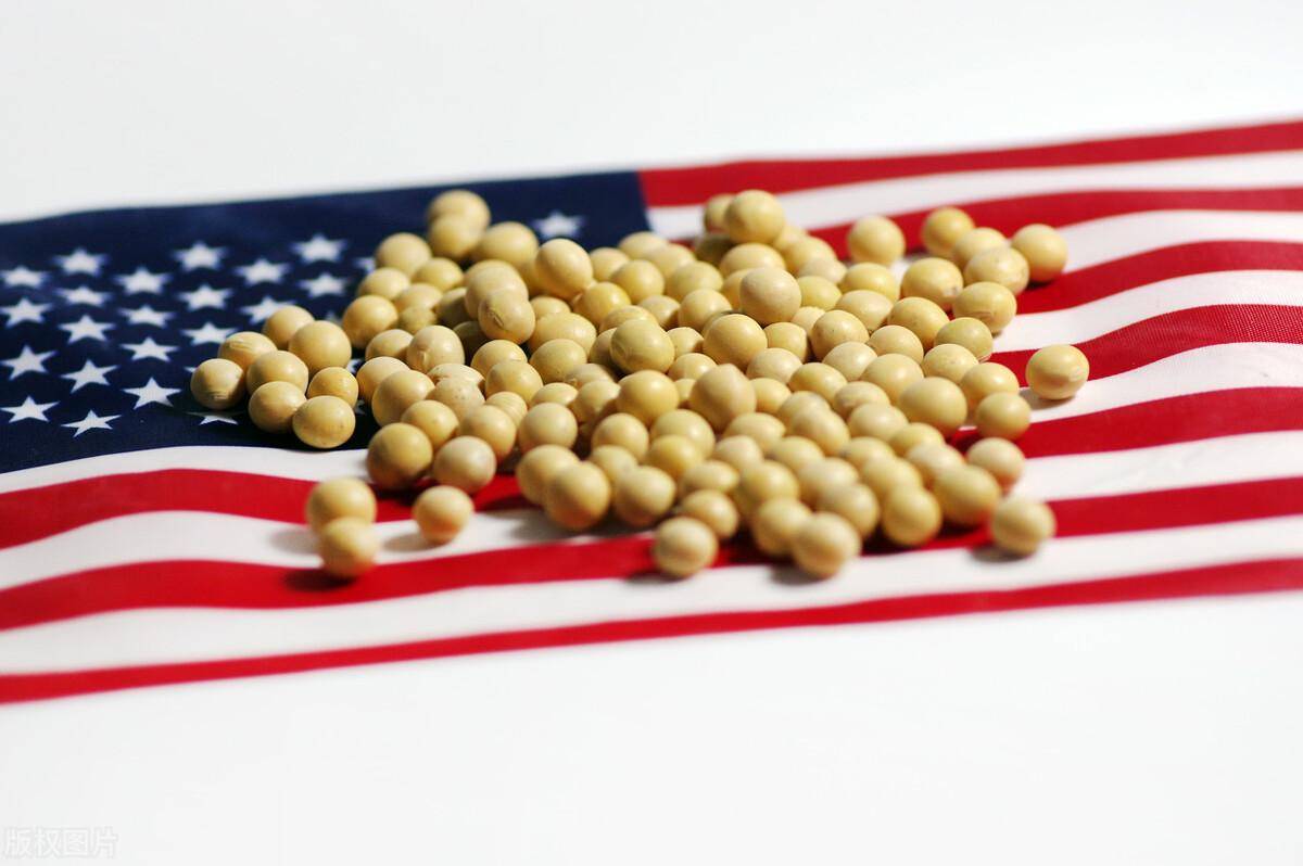 足球盘口出租_43万吨美国大豆将运往中国足球盘口出租，贝森特放话：下周签协议，中国将买1200万吨大豆！