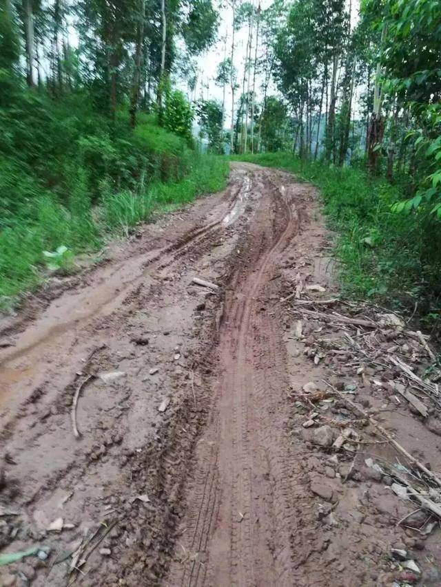 足球代理出租
_四川一村民众筹30万元欲硬化3公里长通村路足球代理出租
,10年间10人去世都未等来动工