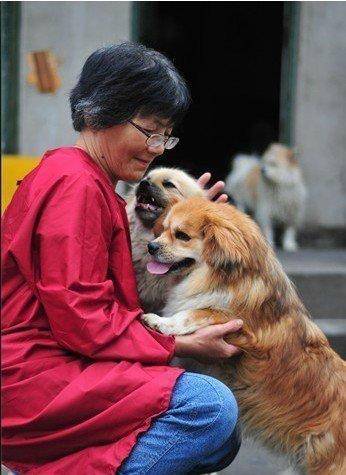 登3代理出租_合肥卖房救助流浪狗的魏阿姨离世登3代理出租，病中仍然惦记着基地的600只流浪狗，工人：不敢相信世上还有这样执着的人