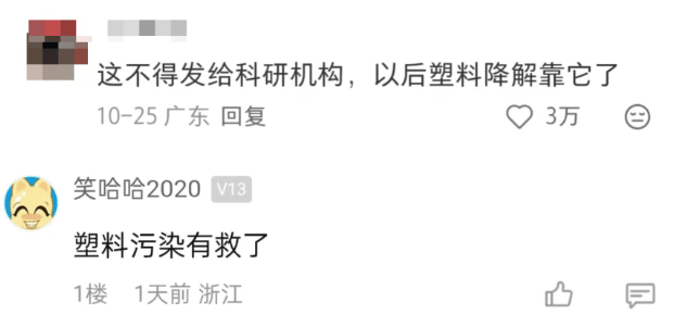 皇冠会员如何申请_汽车被虫子啃得都是窟窿皇冠会员如何申请，“一边咬一边往里钻”！很多人中招