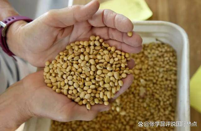 正版皇冠信用网开户_48小时内正版皇冠信用网开户，中方连下3令，特朗普别高兴太早，承诺一个都不能少