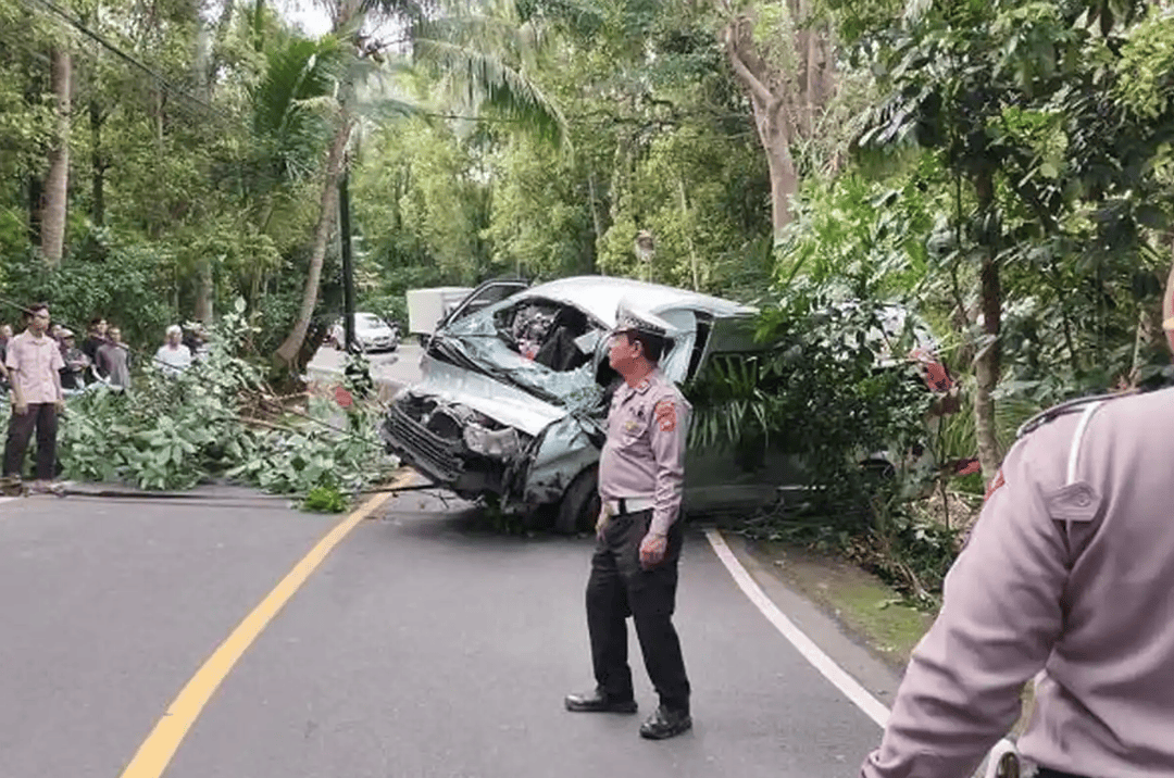 皇冠信用网怎么弄_印尼巴厘岛一载有13名中国公民汽车坠入山沟 造成5死8伤